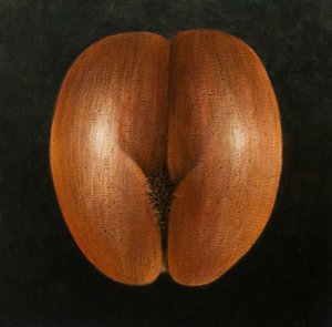Coco de Mer, 2010