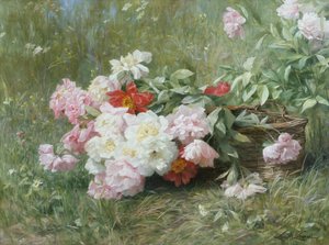 Fiori appena tagliati