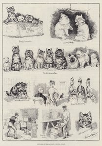 Schizzi alla mostra felina, Crystal Palace