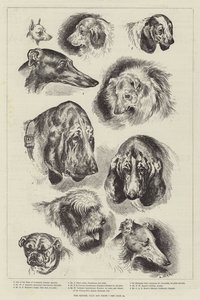 Mostra Canina del Kennel Club