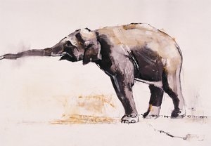 Elefante indiano, Khana