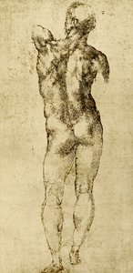 Nudo maschile