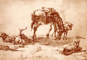 Pascolo con asino, capra e pecore