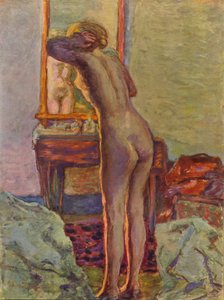 Nudo alla toeletta