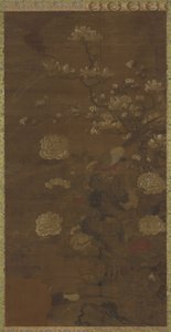 Magnolie, peonie e fagiani