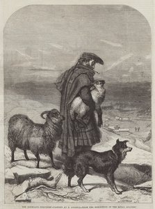 Il pastore delle Highlands