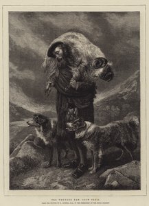 Il montone ferito, Loch Freig