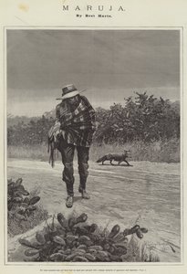 Maruja, di Bret Harte