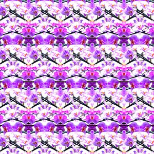 Ripetizione di orchidea viola