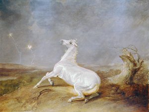 Cavallo pazzo