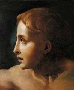 Testa di un giovane