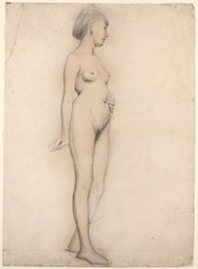 Ragazza nuda in piedi