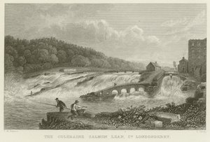 Il salto del salmone di Coleraine