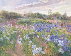 Riflessi di sole sugli Iris, 1996