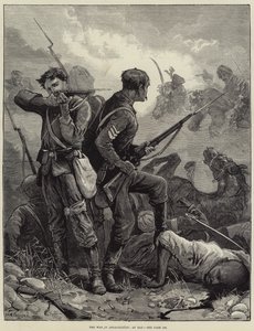 La guerra in Afghanistan, a Bay