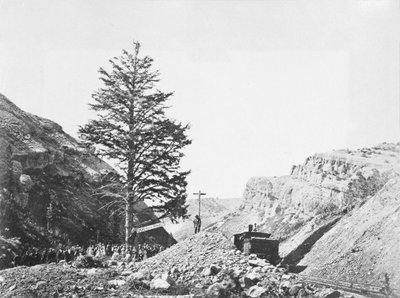 Albero delle Mille Miglia, Passo di Wilhelmina da A.J. Russell