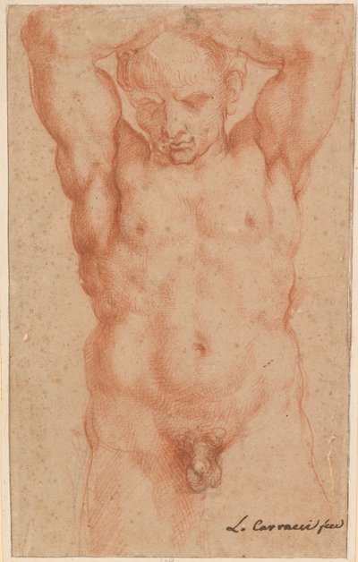 Nudo maschile da Agostino Carracci