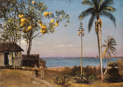 Scena tropicale da Albert Bierstadt