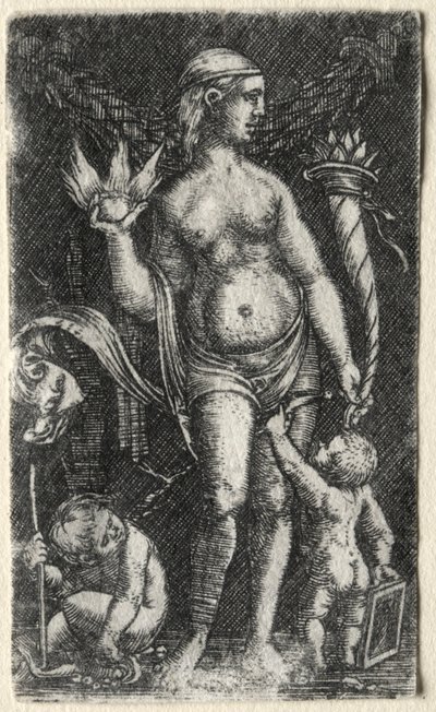 Venere tra due cupidi, 1520 da Albrecht Altdorfer