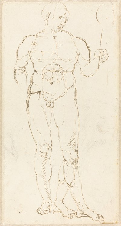 Nudo maschile che tiene uno specchio [recto] da Albrecht Dürer