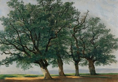 Quattro grandi alberi da Alexandre Calame