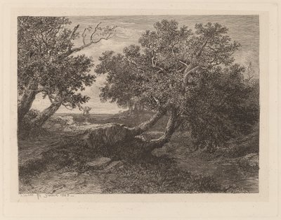 Ruscello con alberi sporgenti da Alexandre Calame