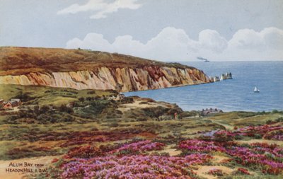 Baia di Alum, da Headon Hill, IOW da Alfred Robert Quinton