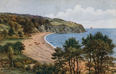 Spiagge di Blackpool, South Devon da Alfred Robert Quinton