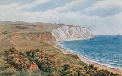 Scogliere di Culver, Sandown da Alfred Robert Quinton