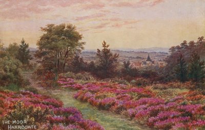 Il Moor, Harrogate da Alfred Robert Quinton