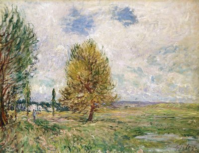 La pianura di Veneux-Nadon, 1881 da Alfred Sisley