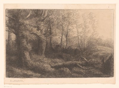 Veduta del bosco da Alphonse Legros (attributed to)