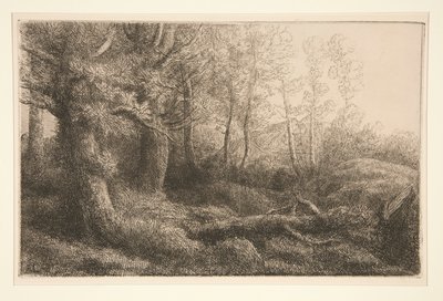 Studio di un bosco da Alphonse Legros