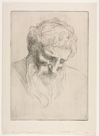 Testa di un uomo da Alphonse Legros