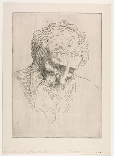 Testa di un Uomo da Alphonse Legros