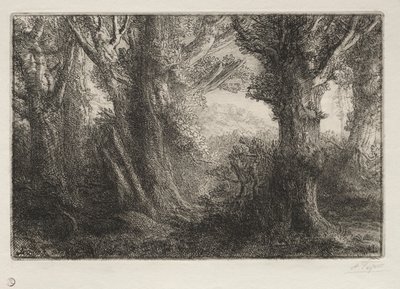 Nella foresta a Conteville da Alphonse Legros