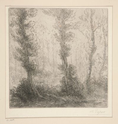 Il piccolo lago da Alphonse Legros