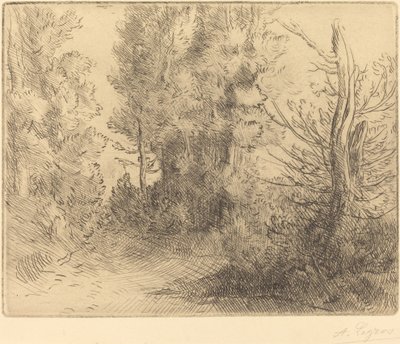 Paesaggio: Vicino a Chailleux da Alphonse Legros