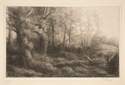 Margine della foresta da Alphonse Legros