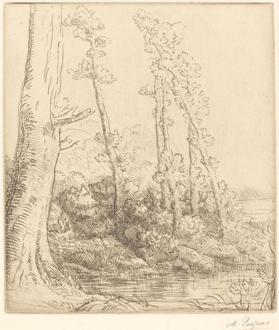 Piccolo stagno La petite mare da Alphonse Legros