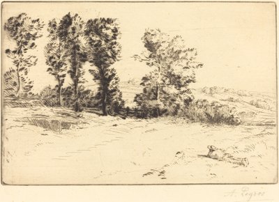 Prato al sole (Le pré ensoleillé) da Alphonse Legros