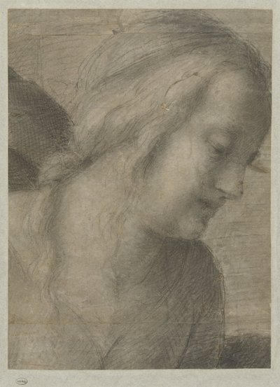 Testa di Maria in adorazione da Andrea del Sarto