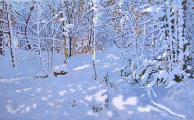 Neve di novembre, Allestree Woods, Derby da Andrew Macara