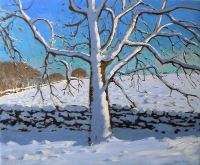 Albero Coperto di Neve, 2011 da Andrew Macara