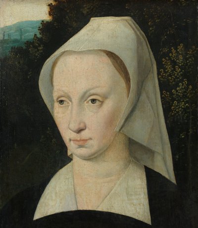 Ritratto di una donna da Anonymous