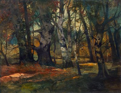 Bosco autunnale da Anton Müller Wischin