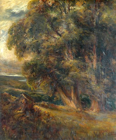 Studio di Alberi da Arthur Reginald Smith