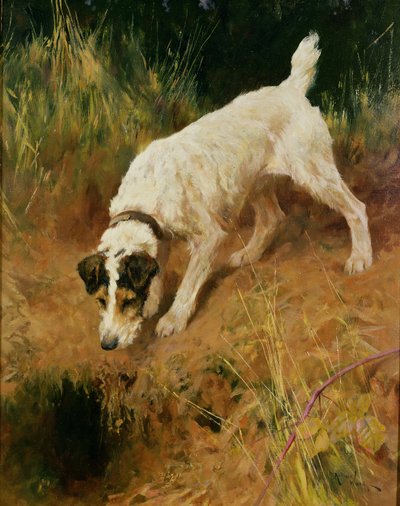 Fox Terrier da Arthur Wardle