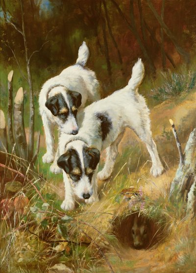 Terrier a caccia di conigli da Arthur Wardle