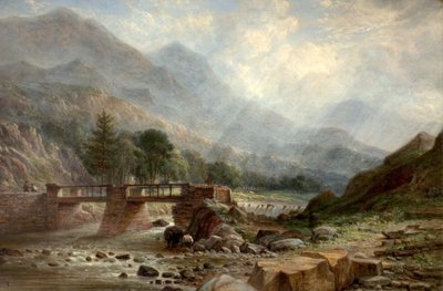 Vicino a Beddgelert da Benjamin Shipham